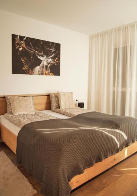 5 Dream Apartment 5 Cu Parcare Privata Oradea Dış mekan fotoğraf
